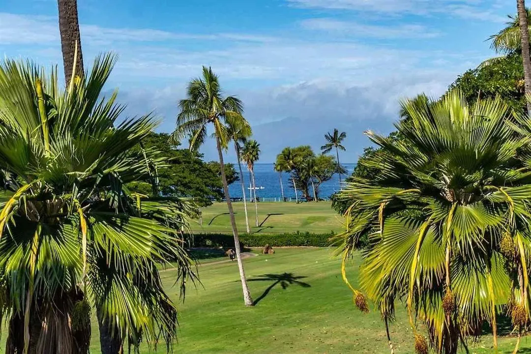 Maui Eldorado Condo G206 Kaanapali 0*,  United States